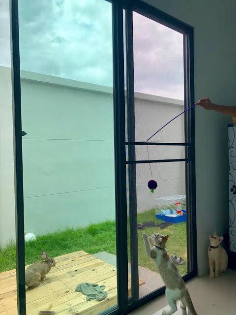 21 - https://kandtalunethomedesign.com | โรงงานรับผลิต ติดตั้งมุ้งจีบราคาถูก จัดส่งทั่วไทย ตลอด 24 ชั่วโมง